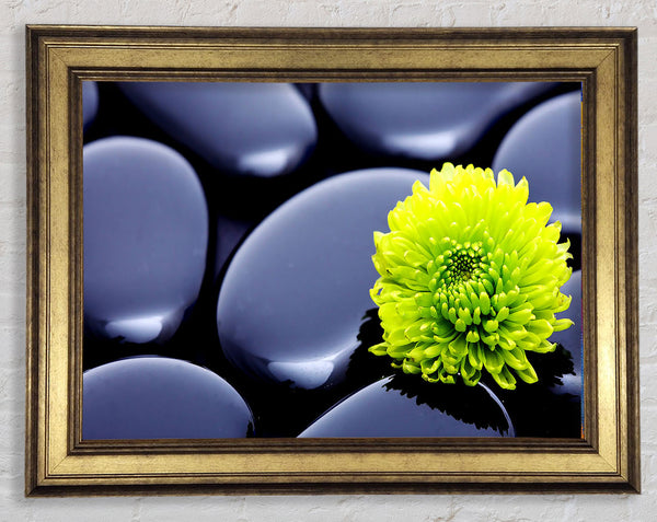 Black Zen Stones And A Yellow Mum