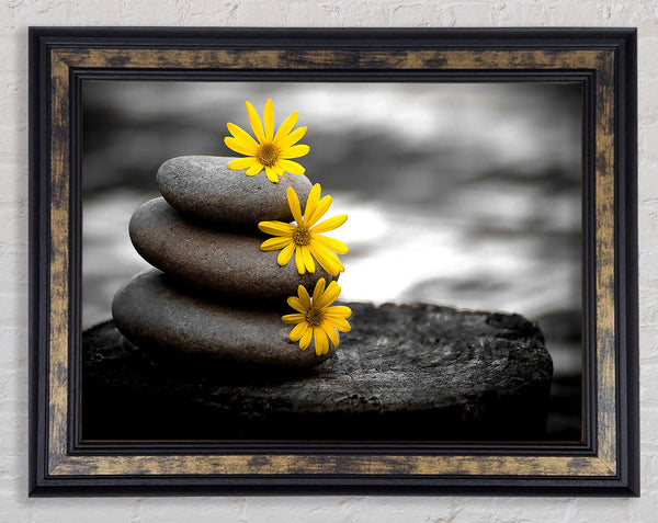 Zen Flowered Stones