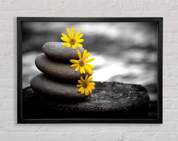 Zen Flowered Stones