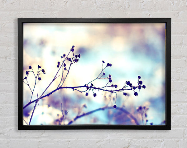 Spikey Twigs With Berries