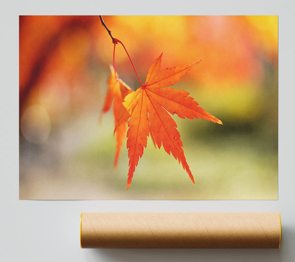 Orange Leaves Sparkle