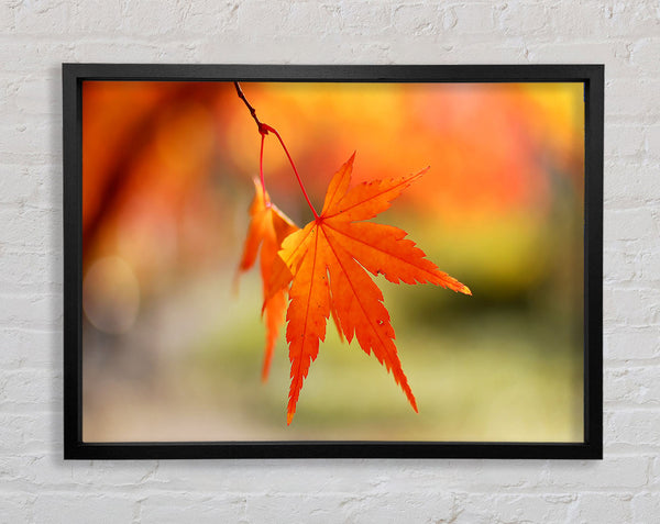 Orange Leaves Sparkle