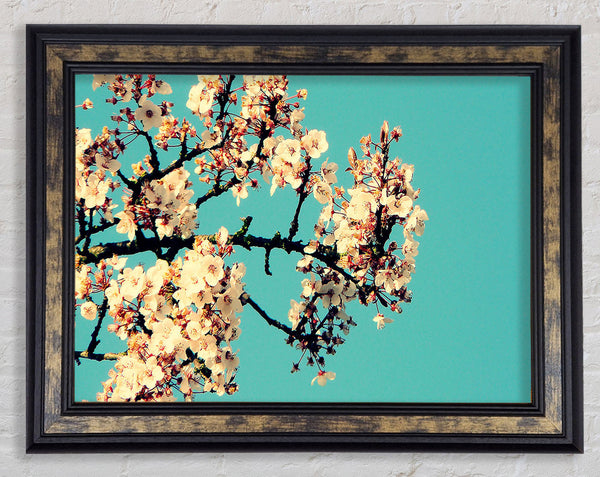 Blossom Tree Against A Blue Sky