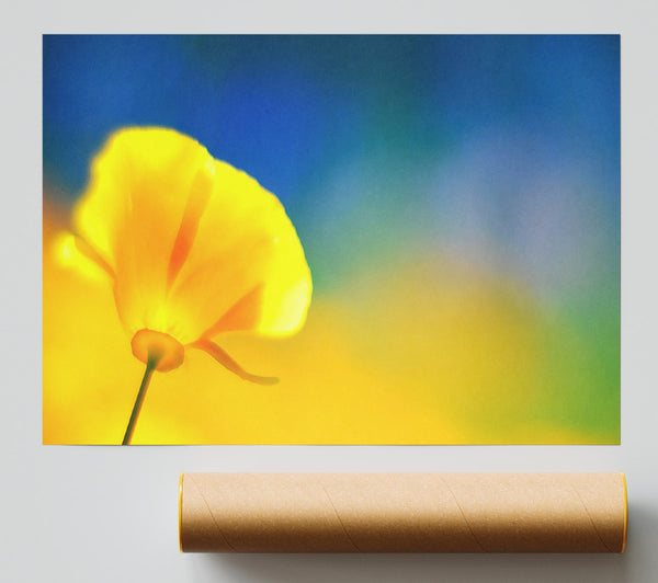 California Poppy Yellow