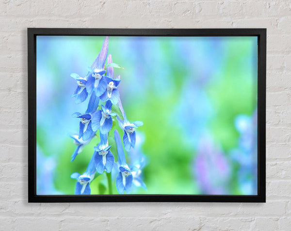 Soft Focus Small Blue Flowers