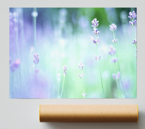 Soft Focus Small Purple Flowers