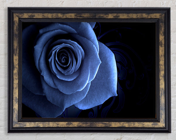 Blue Rose On Black