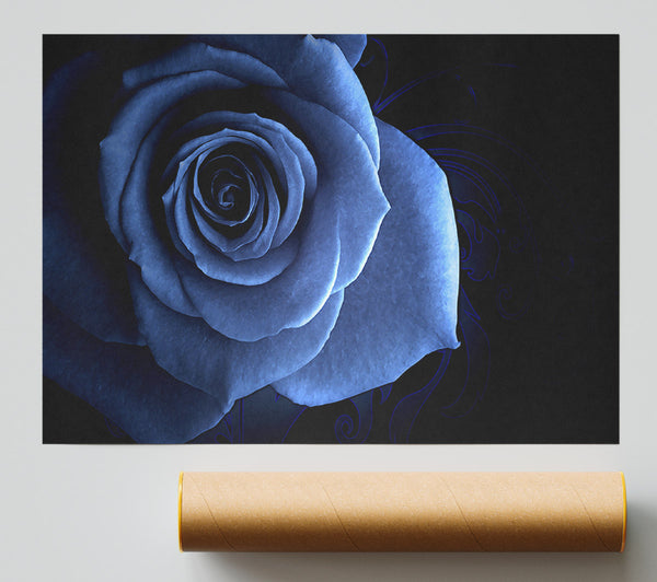 Blue Rose On Black