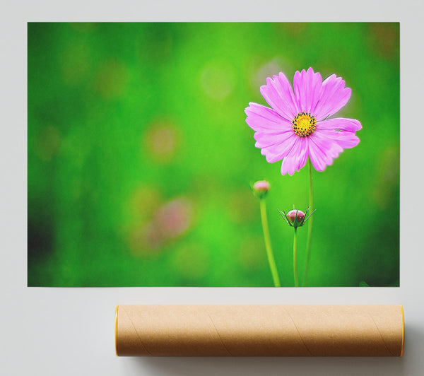 Pink Flower Green Background