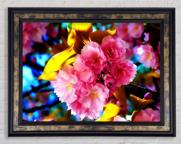 Beautiful Cherry Blossom Bunch