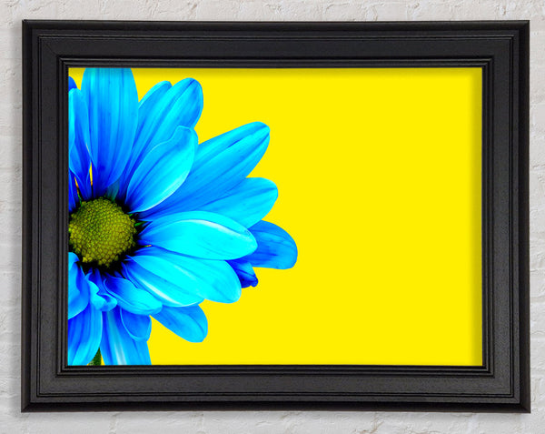 Blue Daisy On Yellow