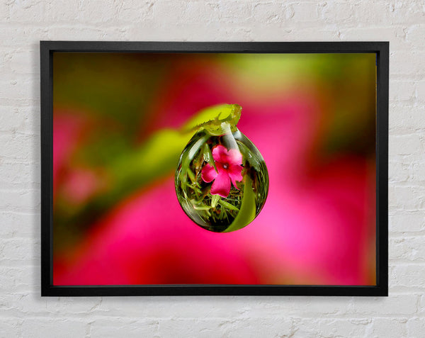 Reflection Of A Pink Flower