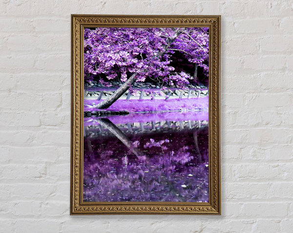 Lilac Walkway