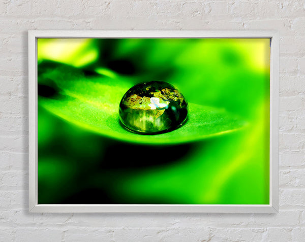 Green Leave Water Droplet