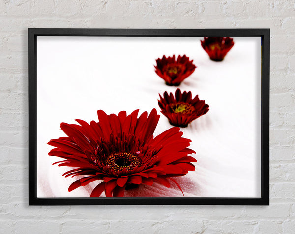 Red Gerbera Heads