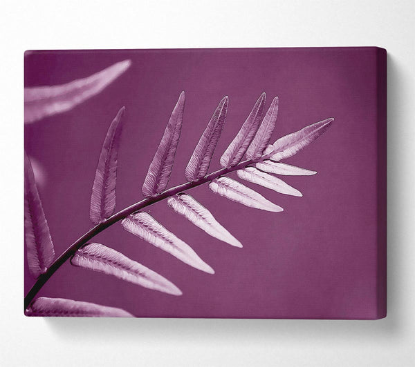 Purple Leaves