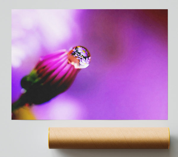 Purple Water Drop Reflection