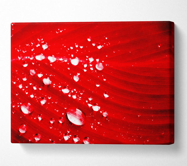 Red Water Droplets