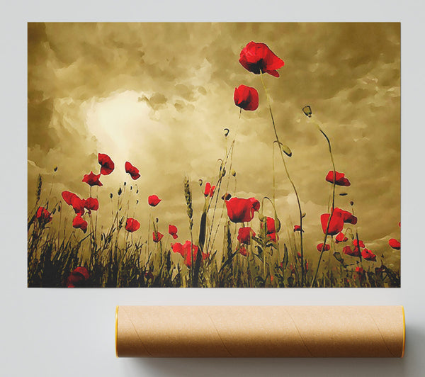 Red Poppy Skies