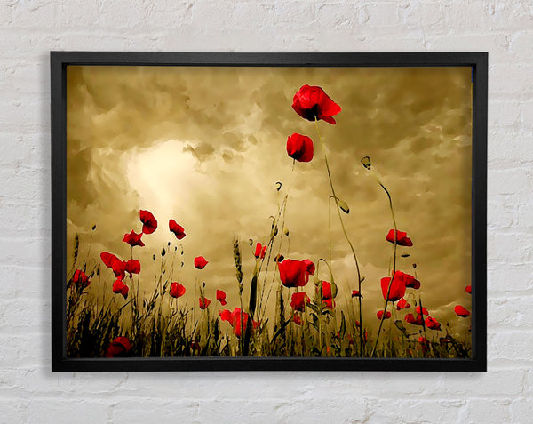 Red Poppy skies