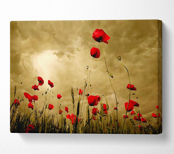 Red Poppy skies