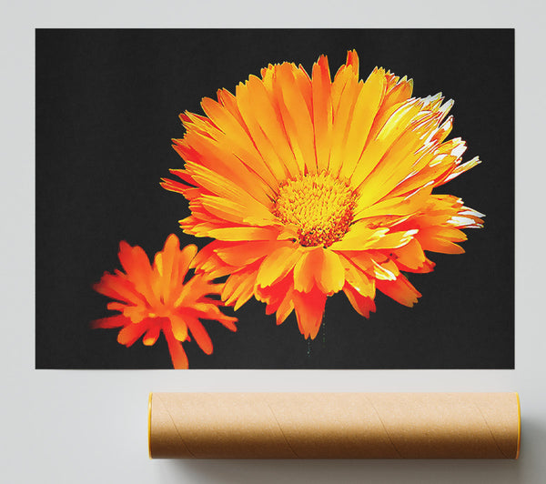 Vibrant Orange Gerberas