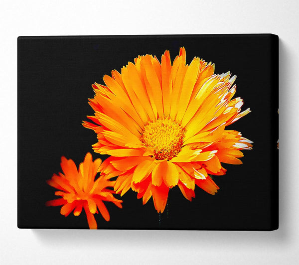 Vibrant Orange Gerberas