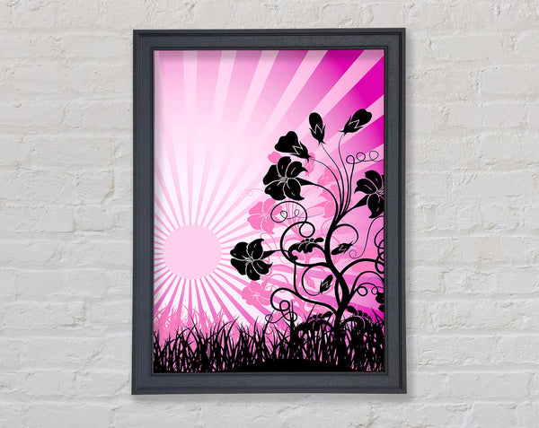 Black Flowers Pink Sunrays