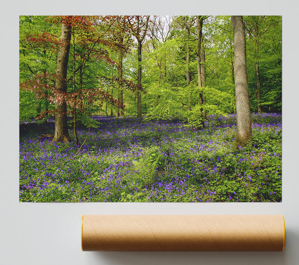 Purple Flowers In The Forest