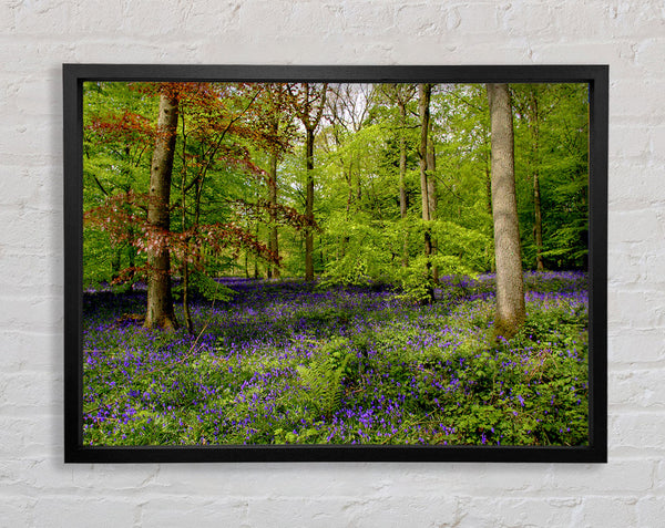 Purple Flowers In The Forest