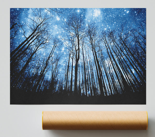 Starry Night In The Forest