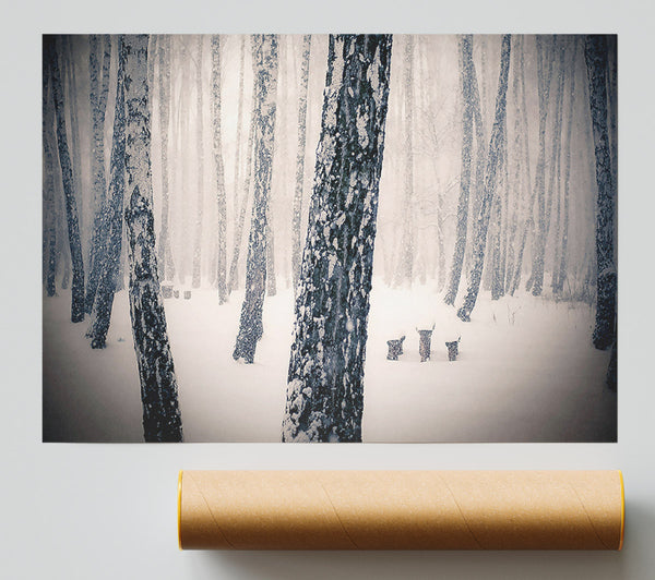 Forest Snowing