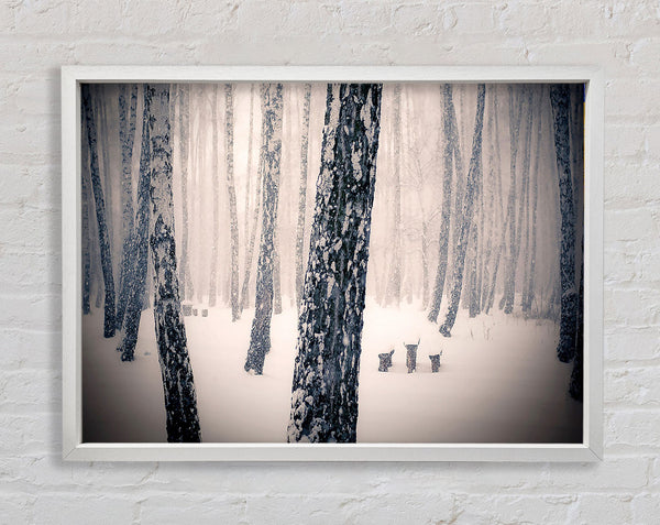 Forest Snowing