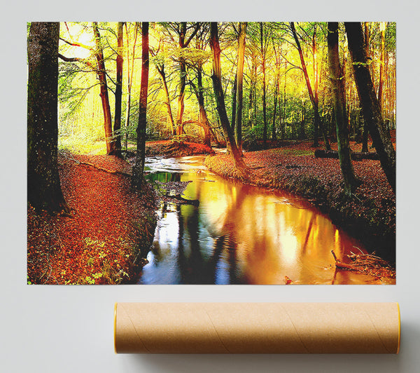 Impressive Autumn Stream