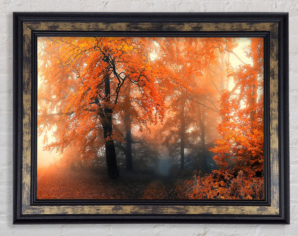 Autumn Orange Mist