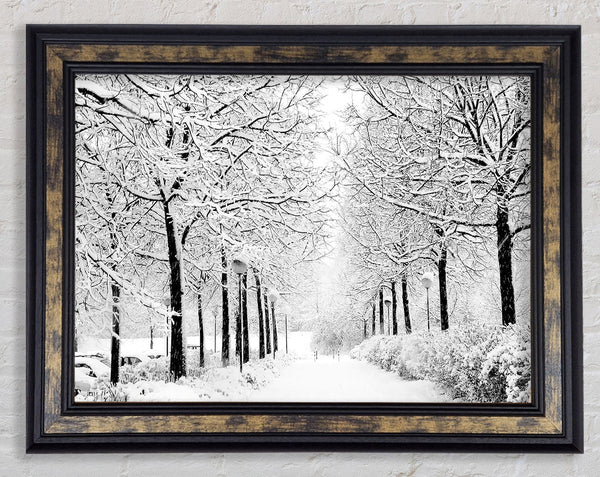 Winter In The Park Black And White