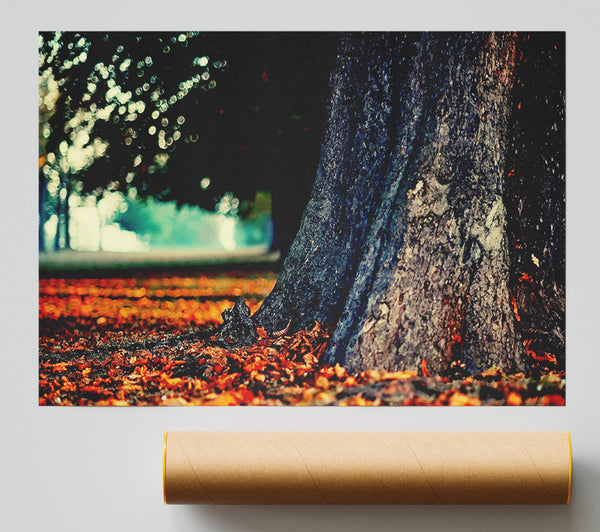 Tree Trunk In Autumn