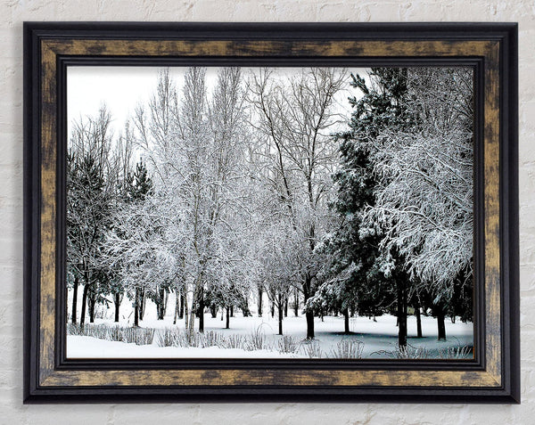 Winter In The Snow Forest