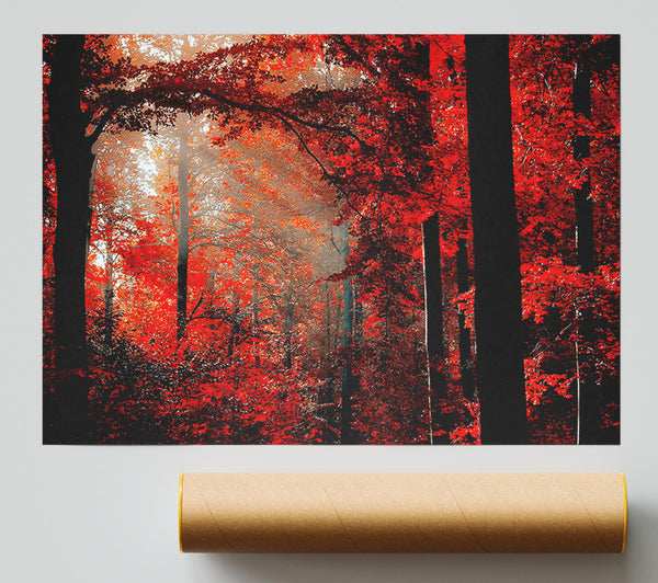 Red Forest Delight