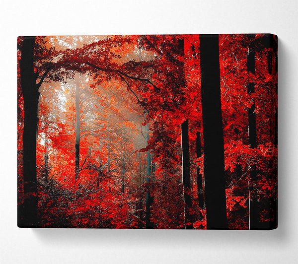 Red Forest Delight