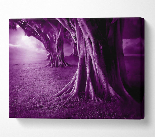 Purple Forest