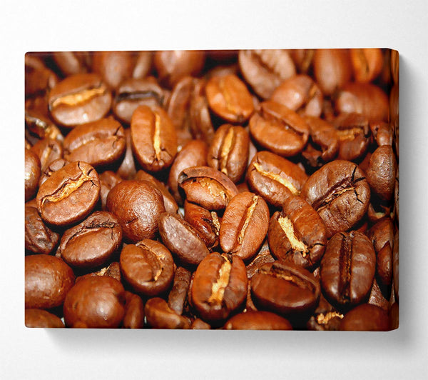 Roasted Coffee Beans