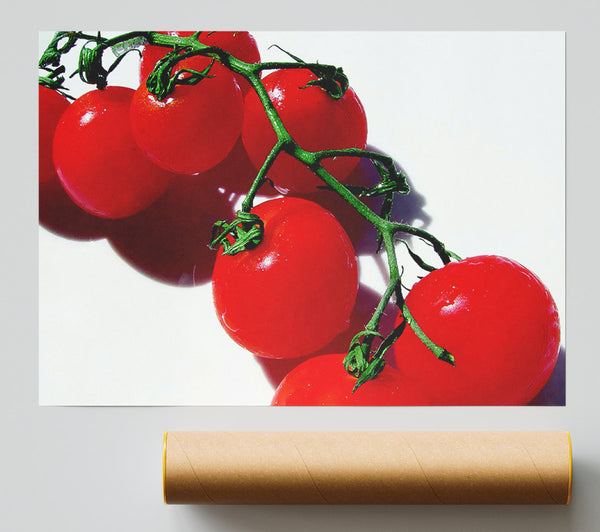 Red Cherry Tomato Vine