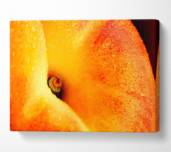 Peach Close-Up