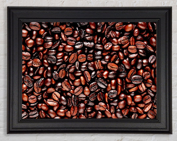 Just Coffee Beans