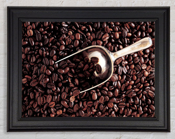 Coffee Bean Scoop