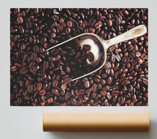 Coffee Bean Scoop