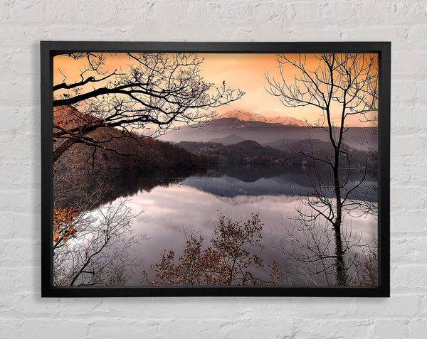 Bare Forest In Autumn