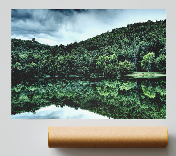 Forest Lake Reflection