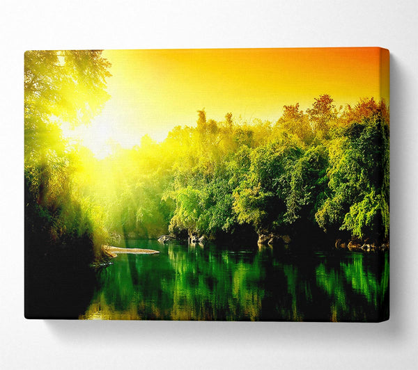 Lush Green Forest River At Sunrise